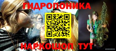 Альфа ПВП Гатчина