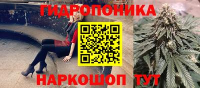 Альфа ПВП Гатчина