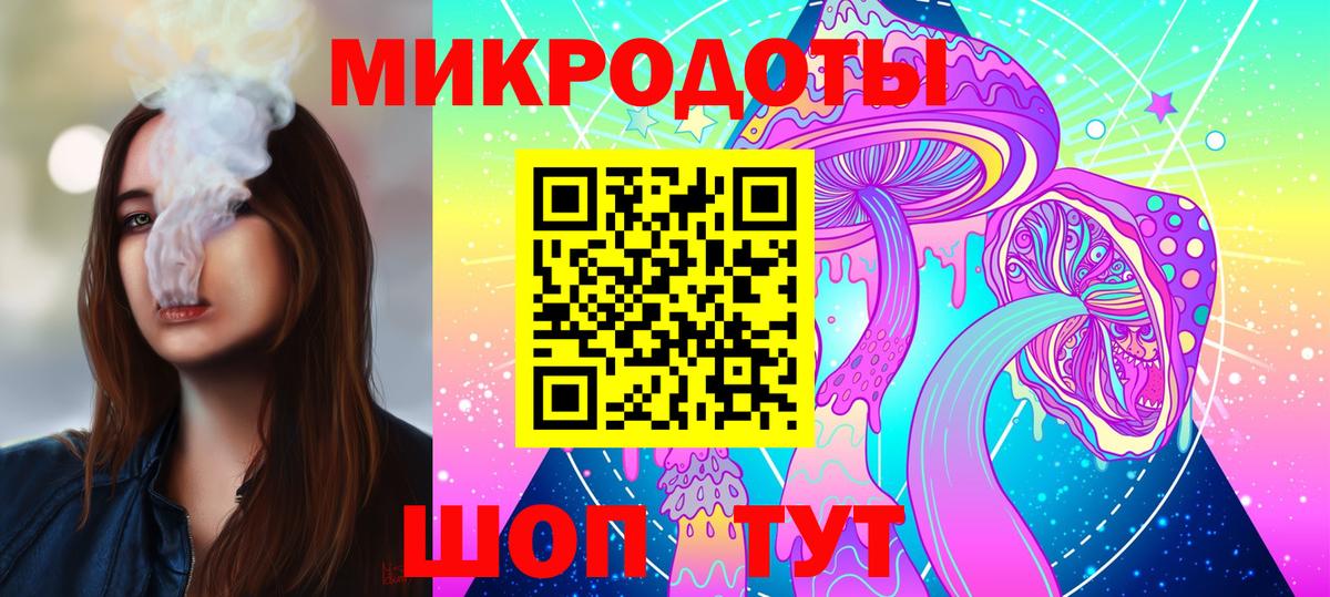 Псилоцибиновые грибы Psilocybine cubensis Апатиты