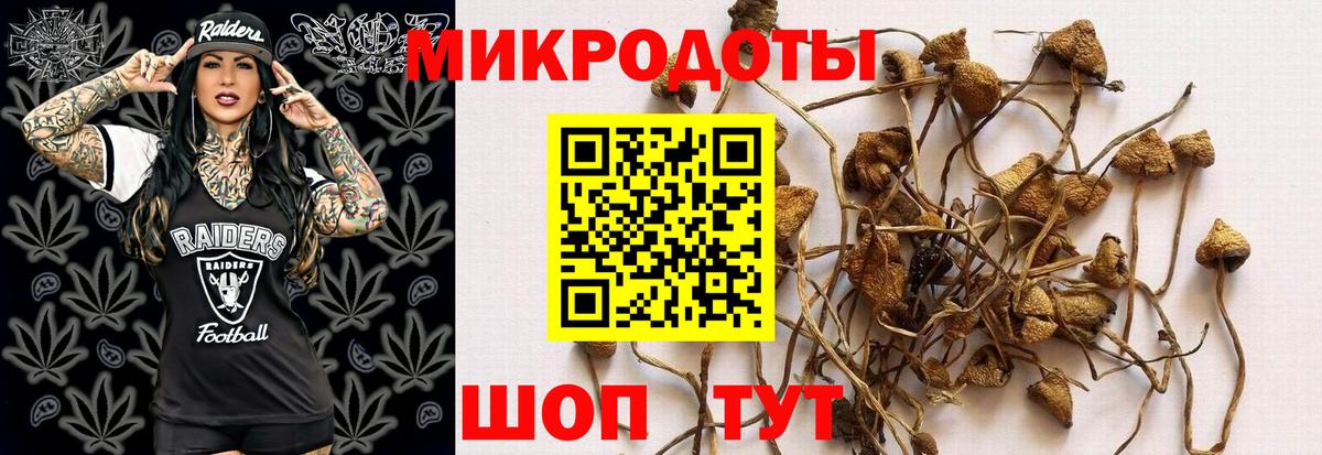 Псилоцибиновые грибы MAGIC MUSHROOMS  где можно купить наркотик  Апатиты  Вход с VPN 