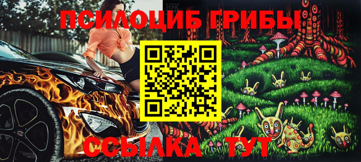 Галлюциногенные грибы Psilocybine cubensis Апатиты