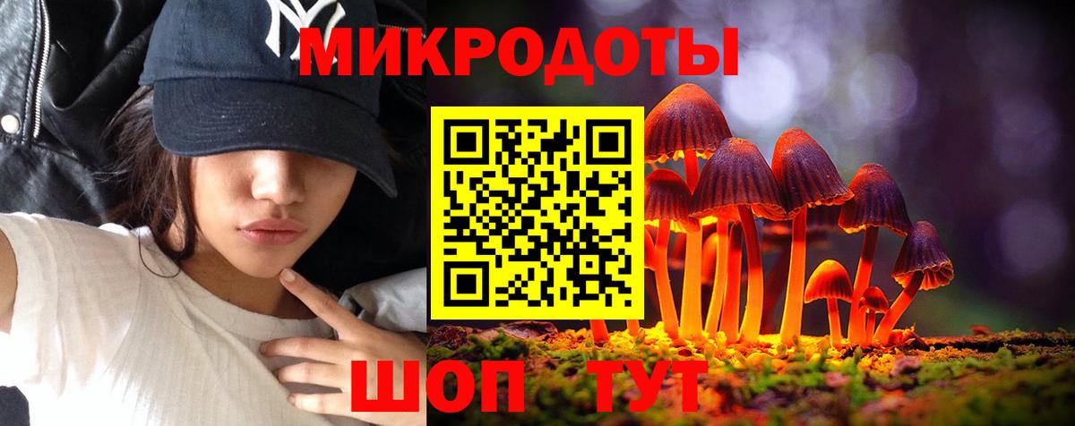Псилоцибиновые грибы Cubensis Апатиты